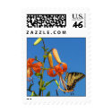 Butterfly and Sky Free postage by closphotos Butterfly and Sky Free postage