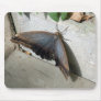 Butterfly and Stone Mouse Mats
