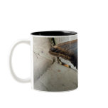 Butterfly and stone mug