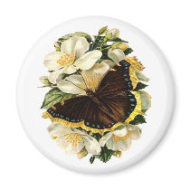 BUTTERFLY AND WHITE FLOWERS magnets