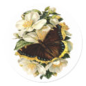BUTTERFLY AND WHITE FLOWERS stickers