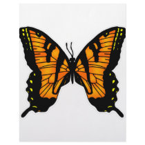 Butterfly Art  #033 letterhead