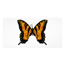 Butterfly Art #033 photo cards by Mustang_Lady Butterfly Art #033 photo cards