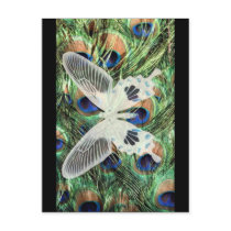 Butterfly art postcards
