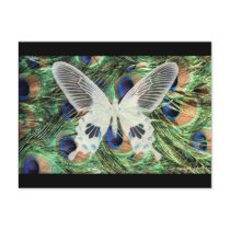 Butterfly art postcards
