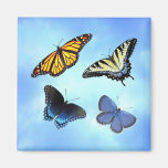 Butterfly Assortment Square Magnet