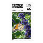 Butterfly at Rest postage