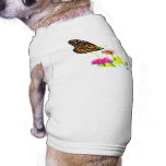Butterfly at the Buffet Pet Tee Shirt