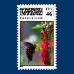 Butterfly at Work Postage Stamp stamps