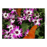 Butterfly Beauty Card