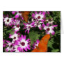 Butterfly Beauty Card