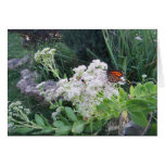 Butterfly Beauty-customize outside & inside Card