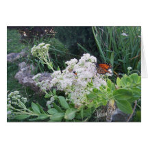 Butterfly Beauty-customize outside & inside Card