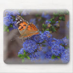 Butterfly Beauty Mousepad