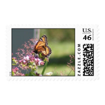 butterfly beauty postage