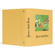 butterfly 3 ring binders