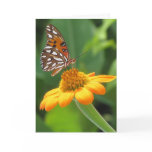 Butterfly Birthday Cards