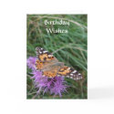 Butterfly Birthday Card