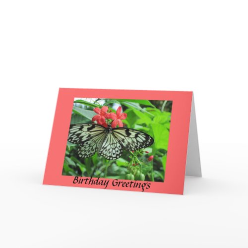 Butterfly Birthday card