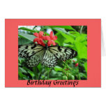 Butterfly Birthday Cards