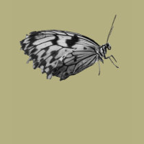 butterfly black and white t-shirts