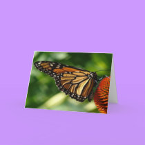 Butterfly Blank card cards