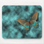Butterfly: Blue and Brown Swallowtail