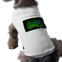 butterfly blue pet t shirt