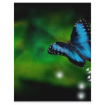 butterfly blue custom letterhead