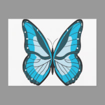 Butterfly Blue postcards