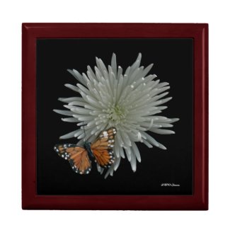 Butterfly Box giftbox