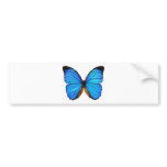 Butterfly Bumper Stickers