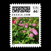 Butterfly Bush and Morning Glory Stamp II