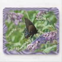Butterfly Bush Butterfly- customize mousepads