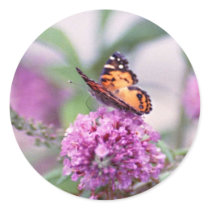 butterfly bush & butterfly stickers