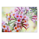 Butterfly Bush - Delicate and Dreamy Greeting Card