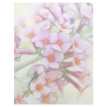 Butterfly Bush - Delicate and Dreamy Customized Letterhead