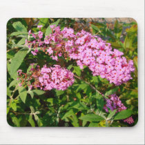 Butterfly Bush Mousepad