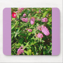 "butterfly bush" mousepad w/ morning glory