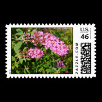 Butterfly Bush Stamp