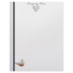 Butterfly Business Letterhead