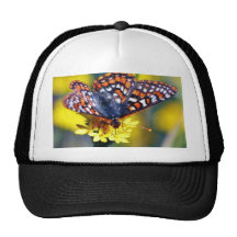 Butterfly Butterflies Bugs Flowers Mesh Hats