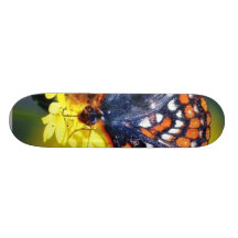 Butterfly Butterflies Bugs Flowers Skate Boards