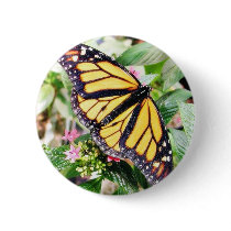 Butterfly Butterflies Flowers Leaves buttons