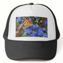 Butterfly Butterflies Insects hats