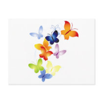 Butterfly Butterflies Postcards