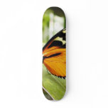 Butterfly Butterflies Skateboard Deck