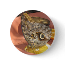 butterfly buttons by jenniekurono butterfly buttons