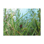 Butterfly by the River Gallery Wrap Canvas