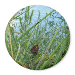 Butterfly by the River Magnet